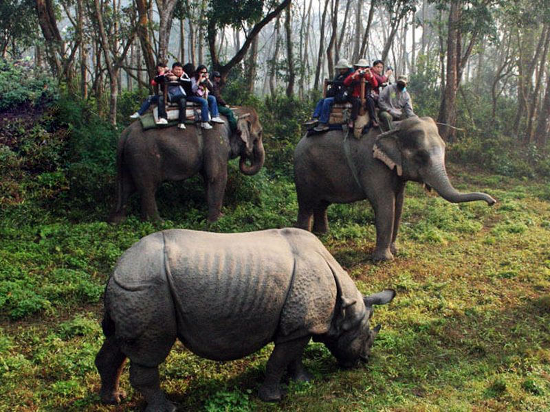 07 Nights/08 Days (03 N Kathmandu + 02 N Pokhara + 02 N Chitwan)