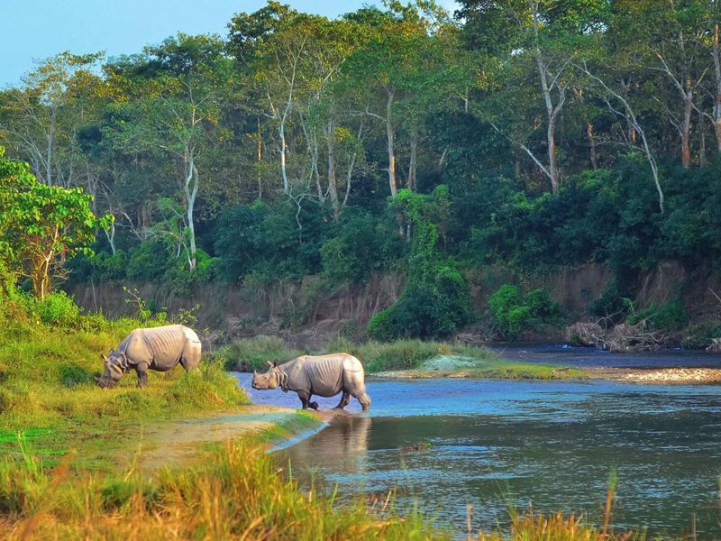 05 Nights/06 Days (02N Kathmandu + 02N Pokhara +01N Kathmandu